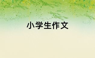 小學(xué)生作文